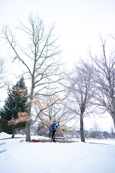 岩手・盛岡の測量・登記 | 株式会社みらい測量/測量風景